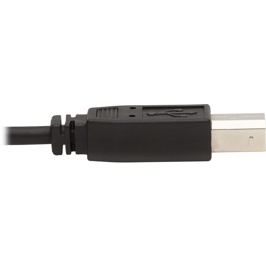 Tripp Lite by Eaton DVI KVM Cable Kit - DVI USB 3.5 mm Audio (3xM/3xM) + USB (M/M) + DVI (M/M) 6 ft. (1.83 m)