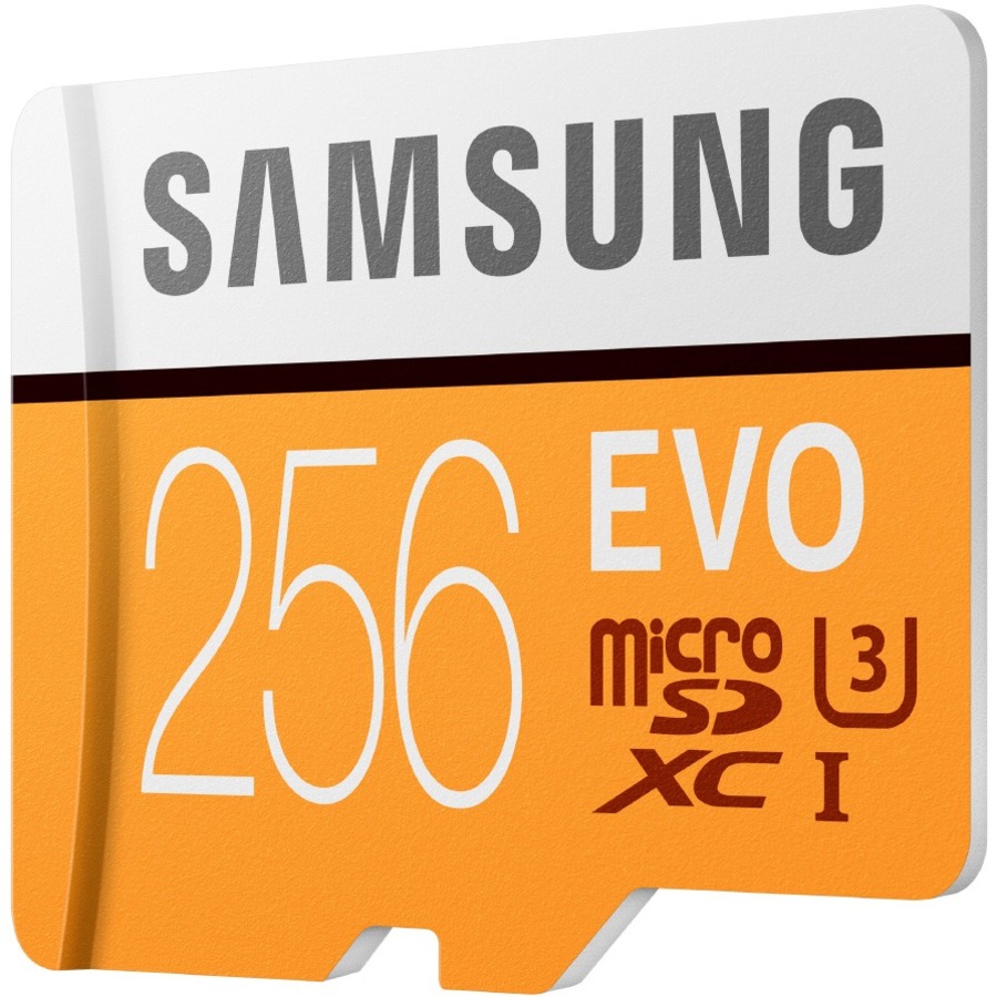 Samsung EVO 256 GB Class 10 microSDXC - 100 MB/s Read - 90 MB/s Write