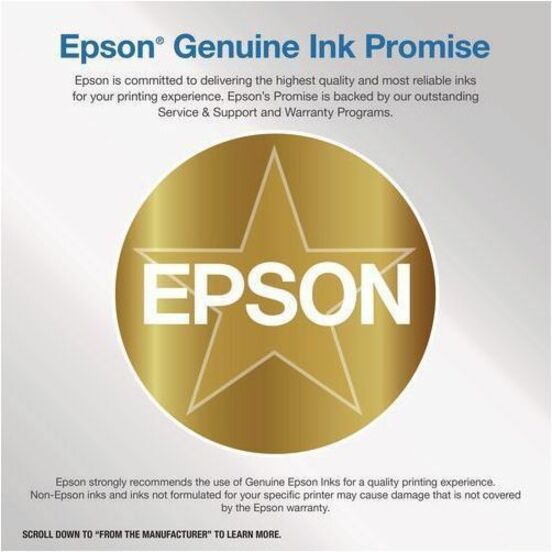 Cartouche jet d'encre Epson T822