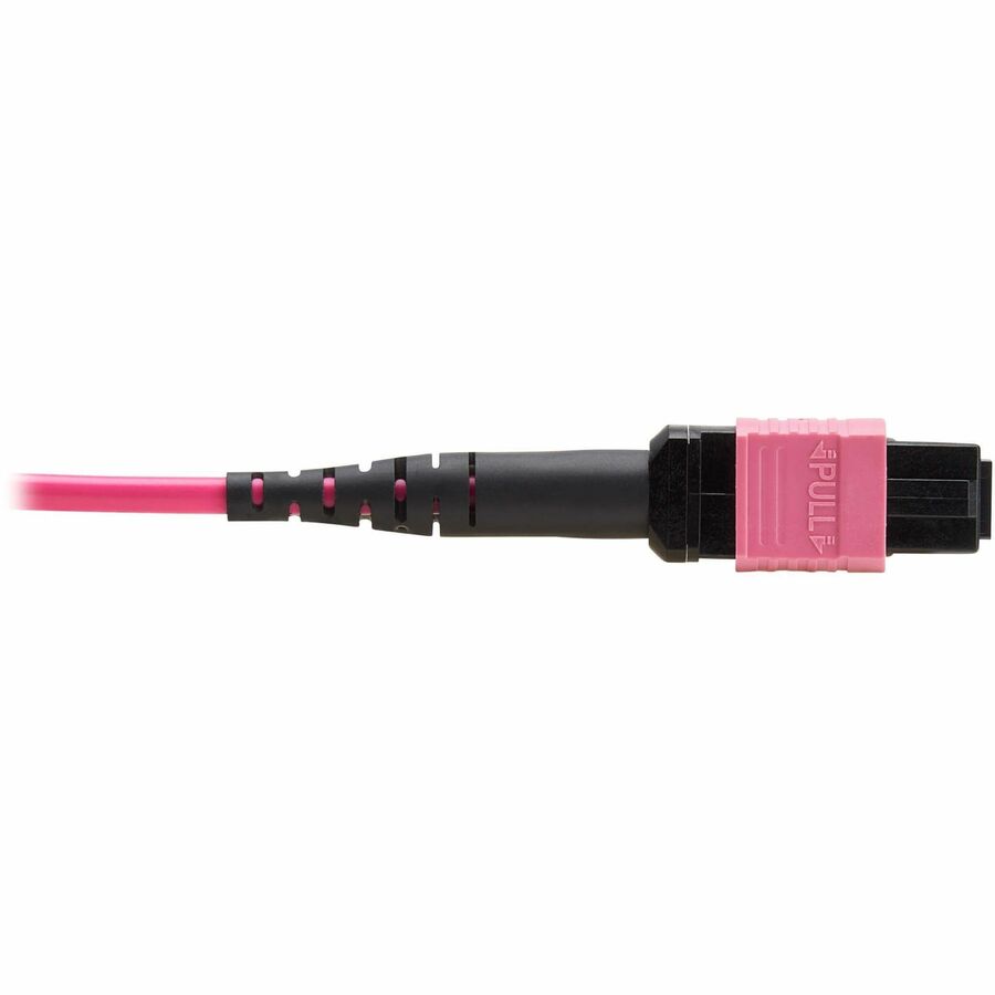 Eaton Tripp Lite Series 100G Multimode 50/125 OM4 Fiber Optic Cable (12F MTP/MPO-PC F/F), OFNP, Magenta, 5 m (16.4 ft.), TAA