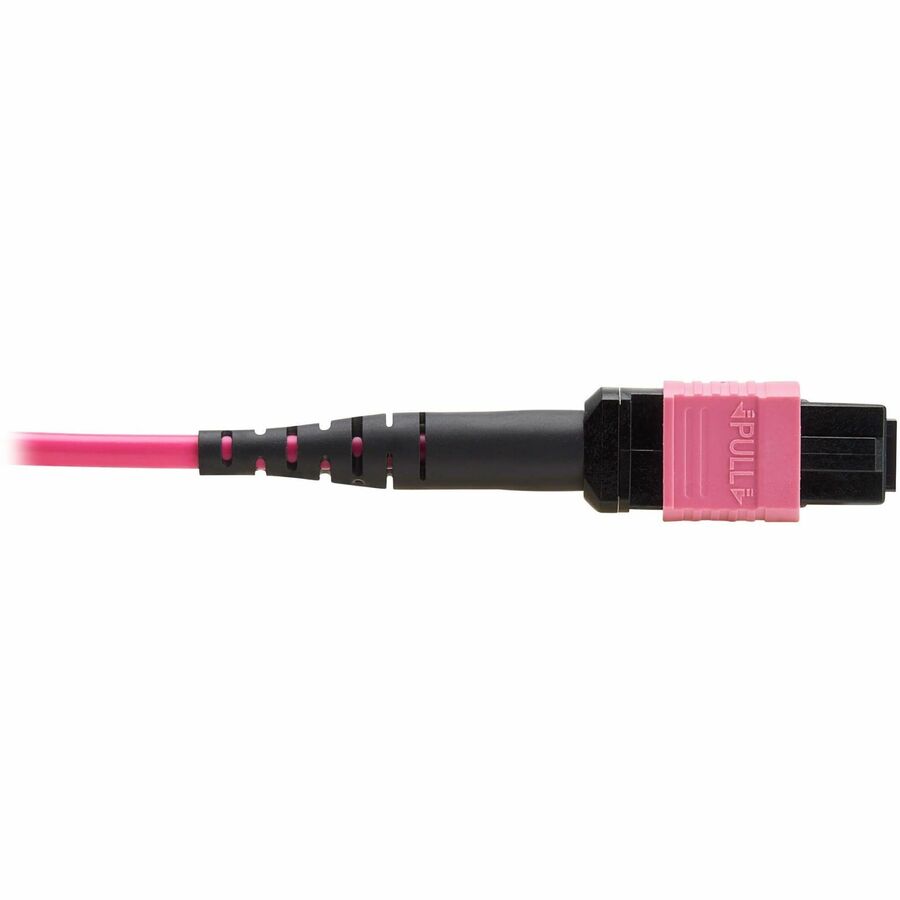 Eaton Tripp Lite Series 100G Multimode 50/125 OM4 Fiber Optic Cable (12F MTP/MPO-PC F/F), OFNP, Magenta, 2 m (6.6 ft.), TAA
