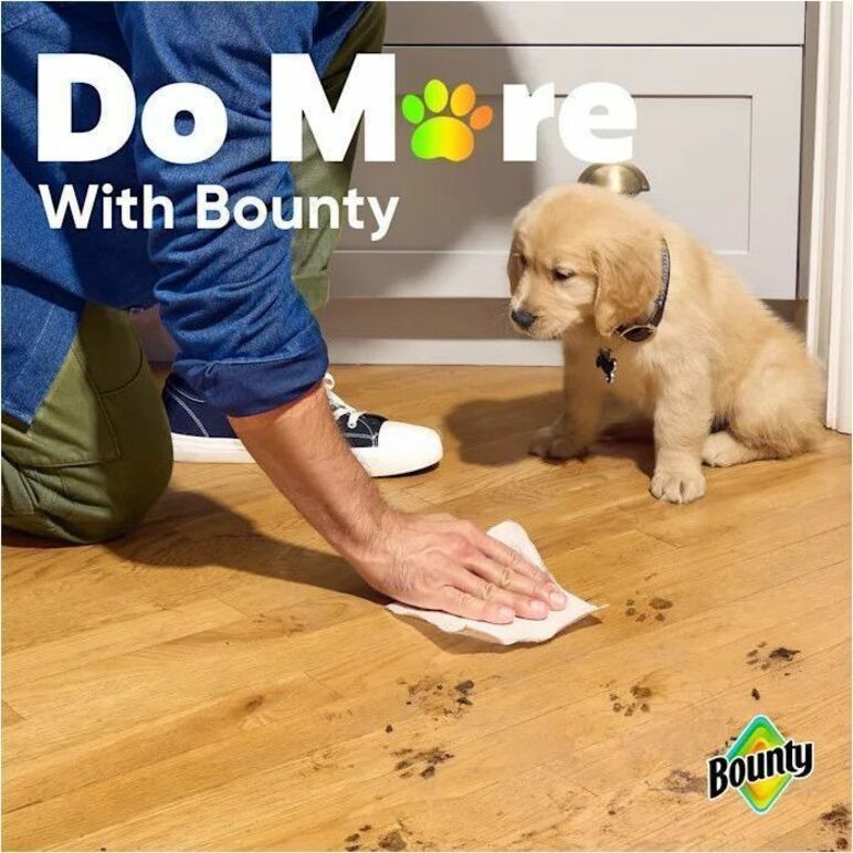 Bounty Select-A-Size Paper Towels - 2 Ply - 123 Sheets/Roll - Diamond Texture - White - Paper - 6 / Carton