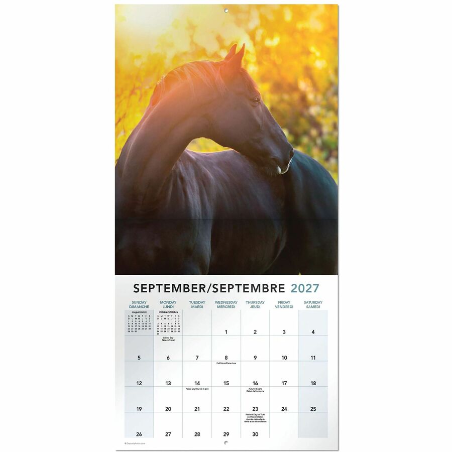 Calendrier mural Mead&reg; 2027 de 16 mois, Chevaux