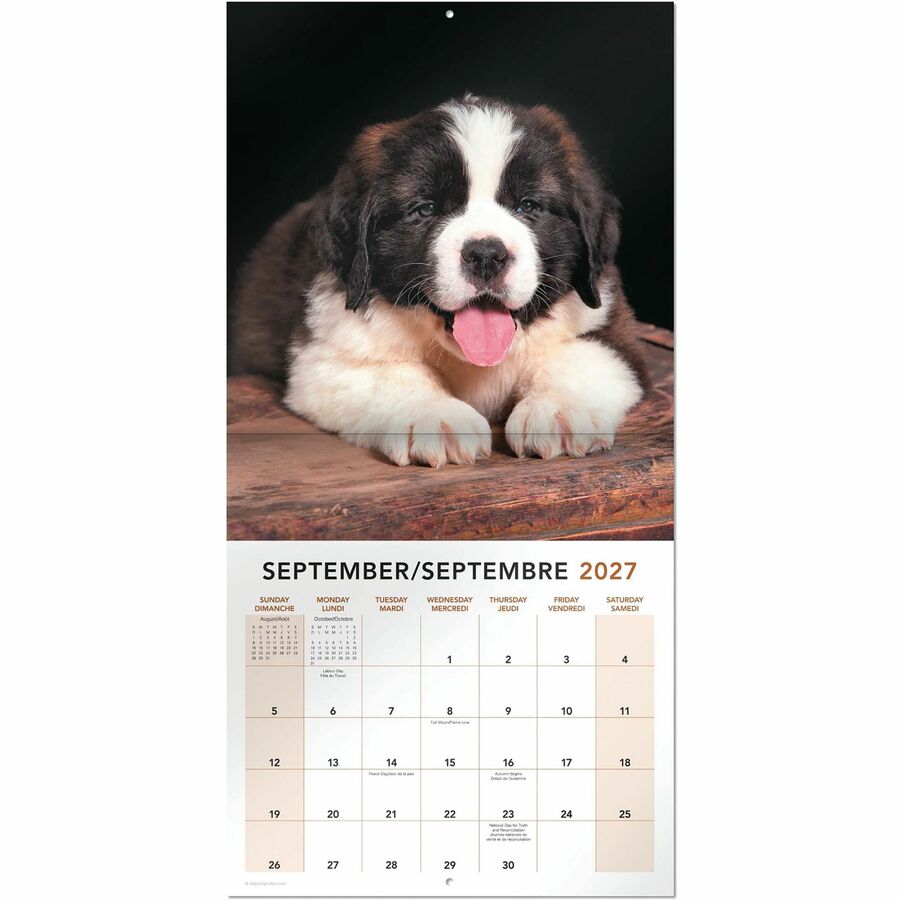 Calendrier mural Mead&reg; 2027 de 16 mois, Chiots