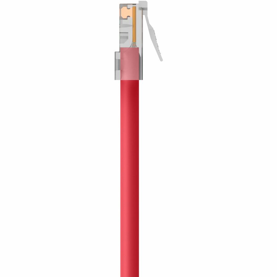 Belkin Cat5e Patch Cable - RJ-45 Male - RJ-45 Male - 12ft - Red
