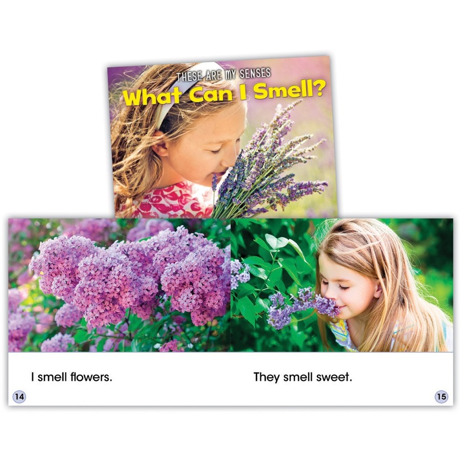 Capstone Publishers These Are My Senses Printed Book by Joanna Issa - Book - Grade Pre K-1 - Learning Books - CPB60435
