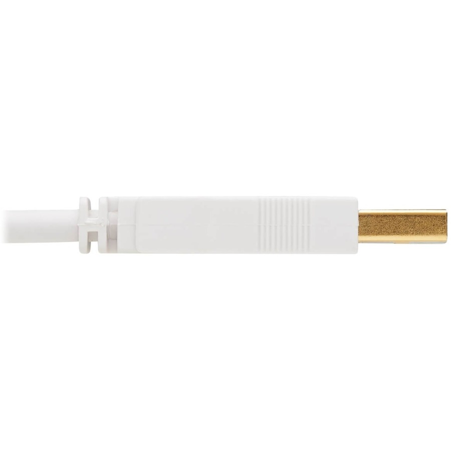 Tripp Lite by Eaton Safe-IT USB-A to USB-B Antibacterial Cable (M/M), USB 2.0, White, 10 ft.