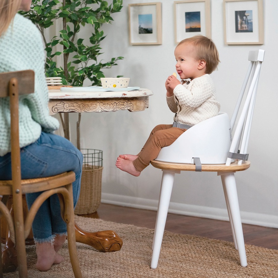 ingenuity Simplicity Seat Easy-Clean Booster - 1 Each - Toddler Furniture - KDCKII12622
