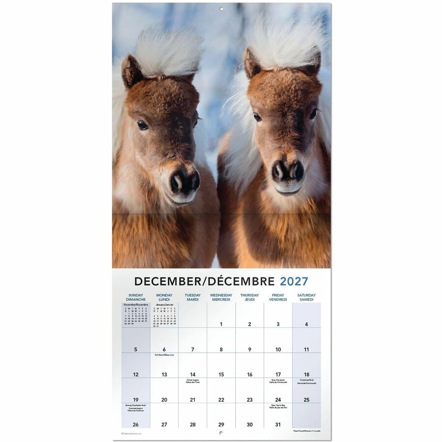 Calendrier mural Mead&reg; 2027 de 16 mois, Chevaux