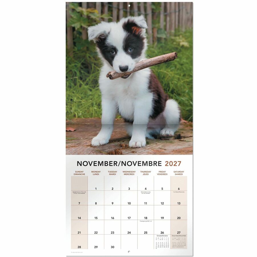 Calendrier mural Mead&reg; 2027 de 16 mois, Chiots