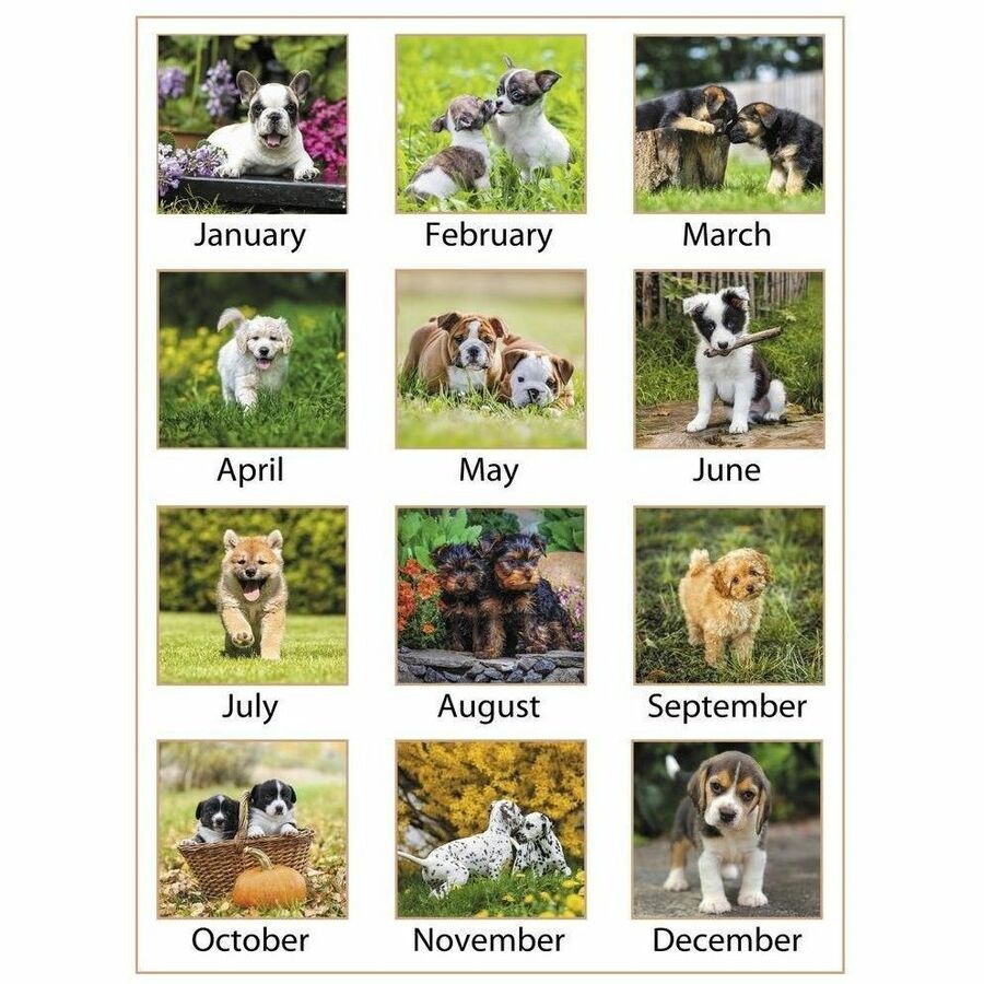 At-A-Glance Puppies Desk Pad - Standard Size - Monthly - 12 Month - January 2024 - December 2024 - 1 Month Single Page Layout - 21 3/4" x 17" White Sheet - Desktop, Desk Pad - White - Paper - Full-color Photos of Puppies, Bleed Resistant Paper, Unruled Da