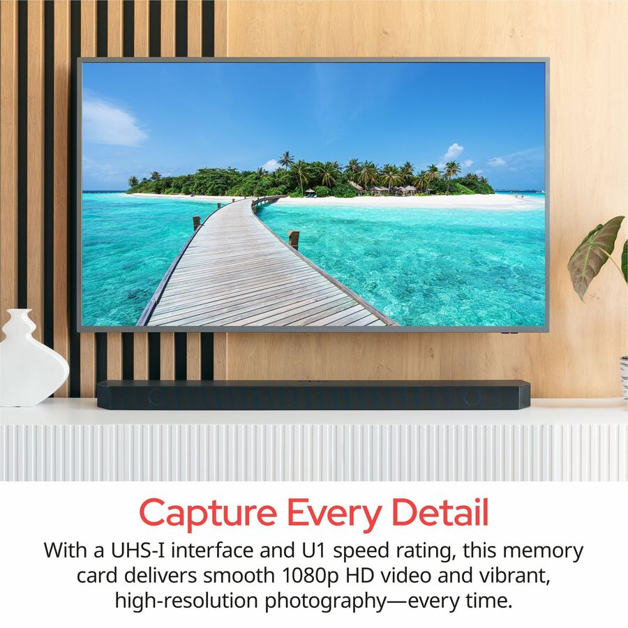 Verbatim - SDHC Premium 16 Go Classe 10/UHS-I (U1) - 1 chaque