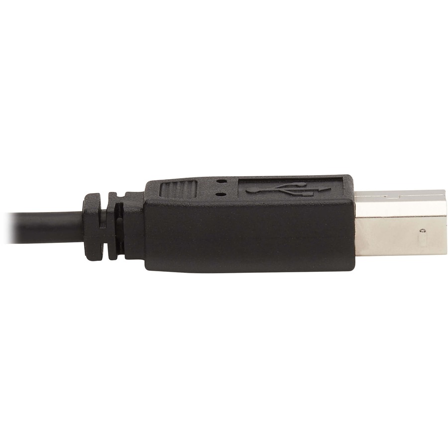 Tripp Lite by Eaton DisplayPort KVM Cable Kit - DP USB 3.5 mm Audio (3xM/3xM) + USB (M/M) 4K 4:4:4 6 ft. (1.83 m) Black