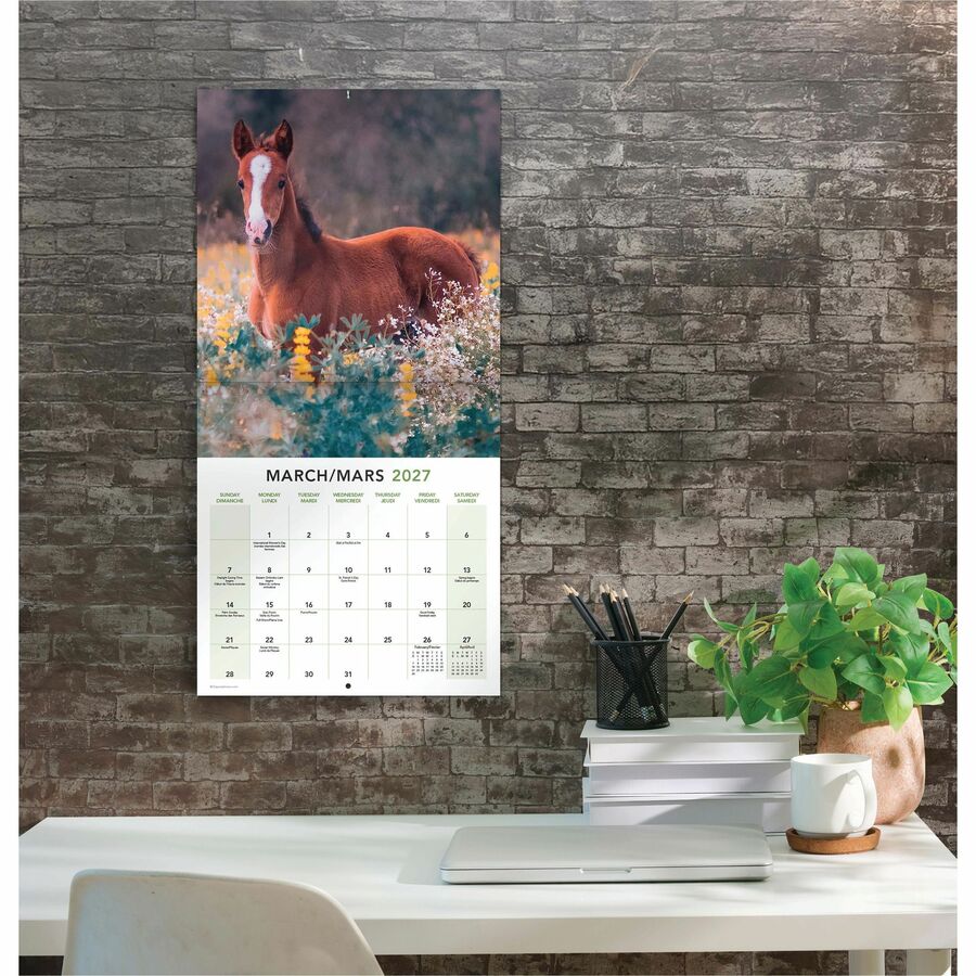 Calendrier mural Mead&reg; 2027 de 16 mois, Chevaux