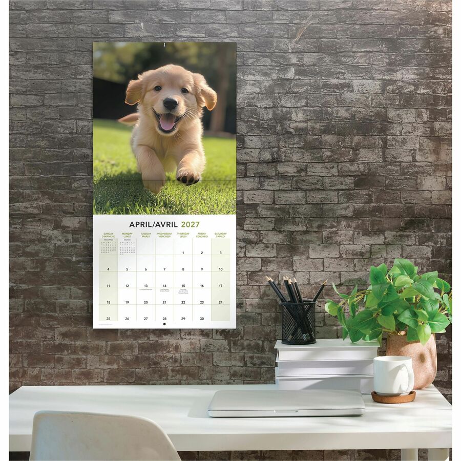 Calendrier mural Mead&reg; 2027 de 16 mois, Chiots