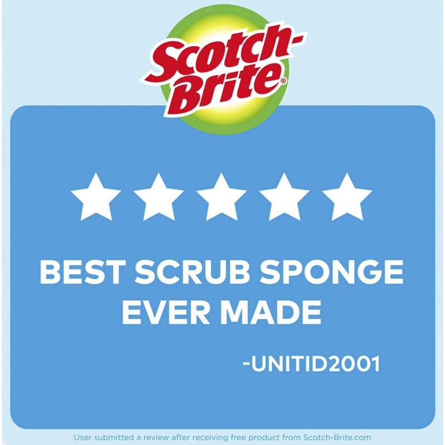 Scotch-Brite No Scratch Scrub Sponges - 2.8" Height x 4.5" Width x 4.5" Length x 590 mil Thickness - 3/Pack - Blue