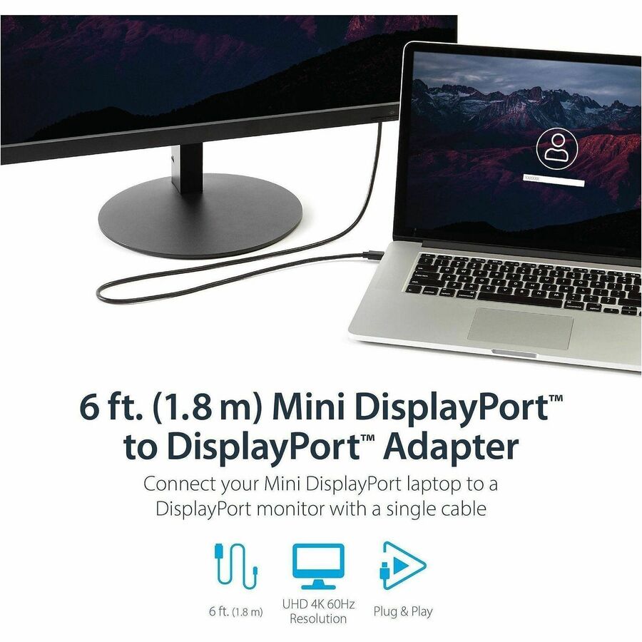 4-Pack Mini DisplayPort To DisplayPort Adapters – Male To Female, Black, USA