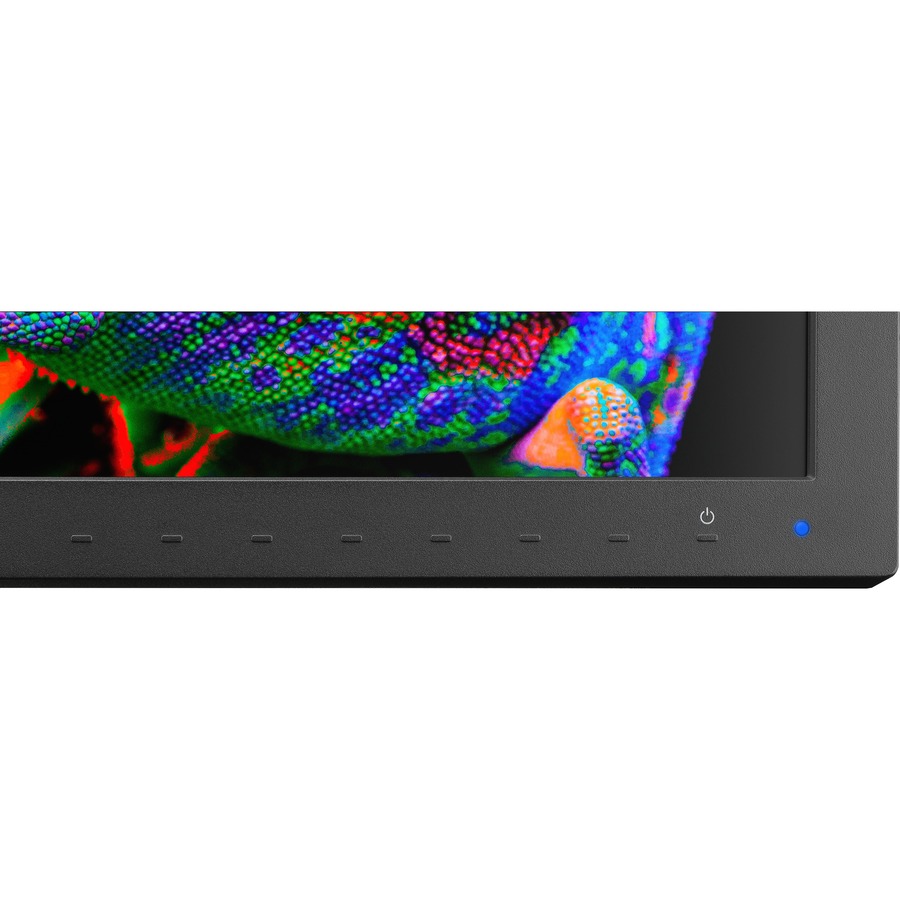 NEC Display MultiSync PA311D-BK 31.1" 4K WLED LCD Monitor - 17:9 - Black_subImage_11