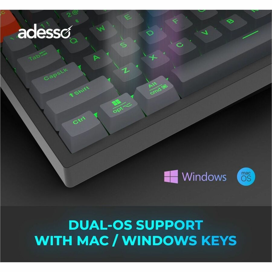 Adesso (EASYTOUCH 1100) Clavier et Pav&eacute; Num&eacute;rique