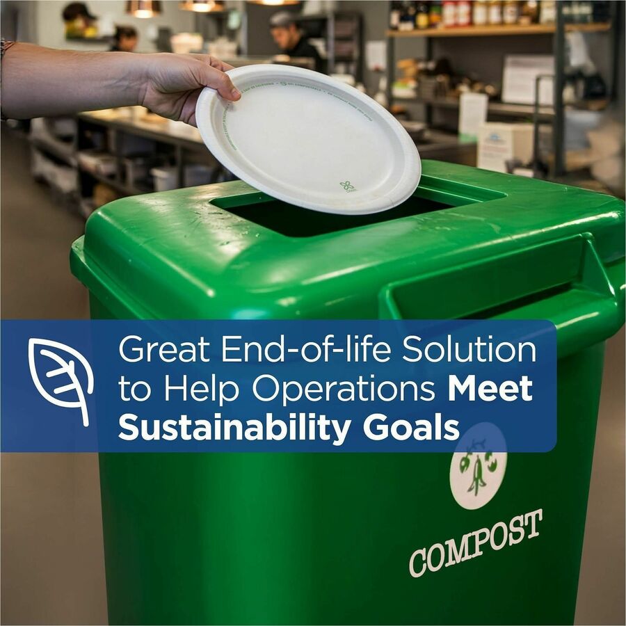 Thumbnail image 9 of 9