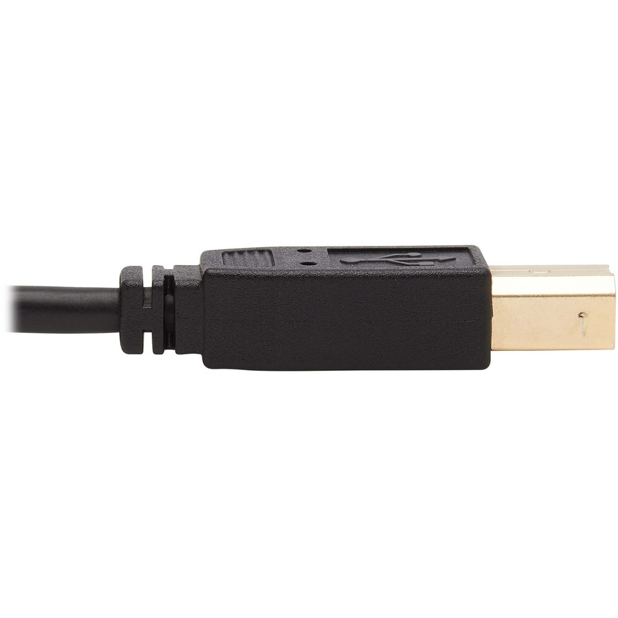 Tripp Lite by Eaton DVI KVM Cable Kit - DVI USB 3.5 mm Audio (3xM/3xM) + USB (M/M) 1080p 10 ft. (3.05 m)