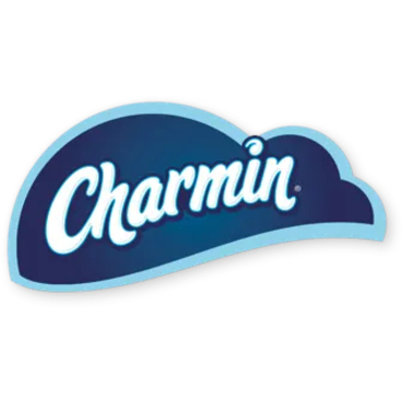 Procter & Gamble logo