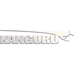 Kanguru Solutions