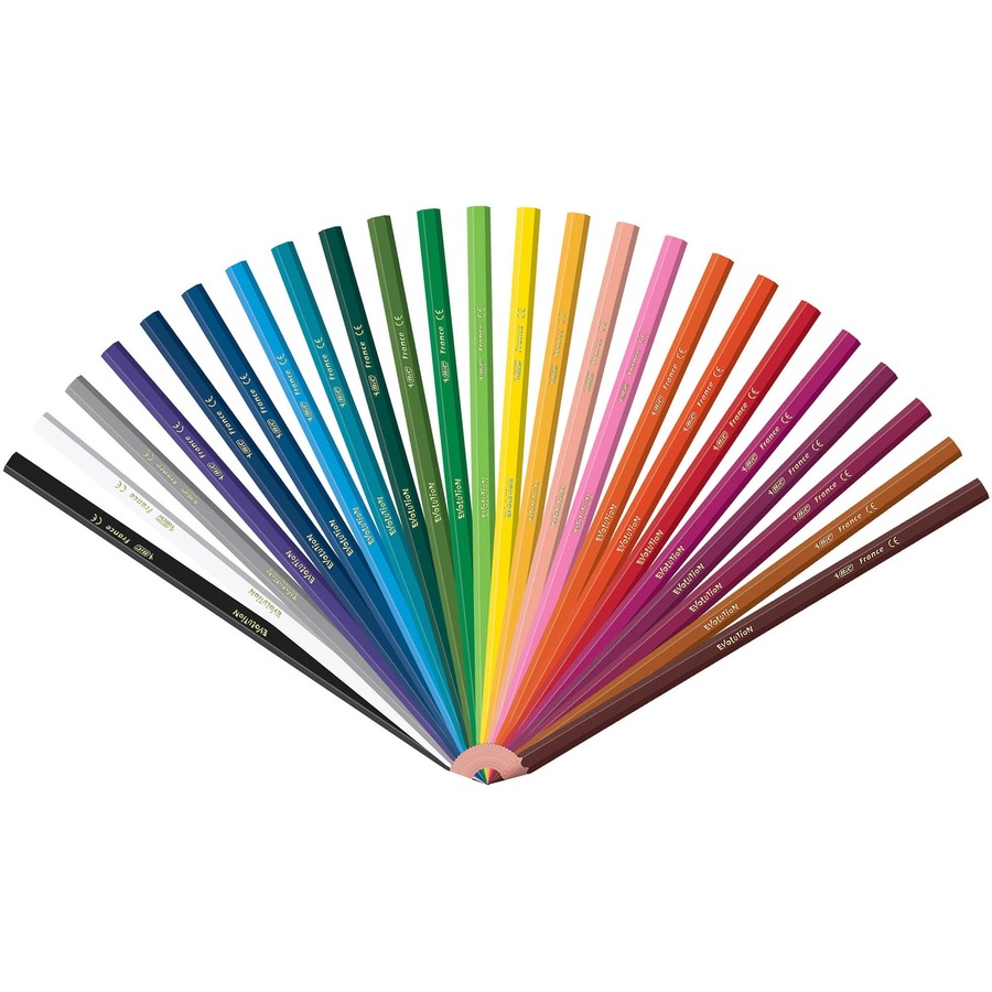 Picture of BIC Kids Coloring Pencils, Assorted, 24 Pack