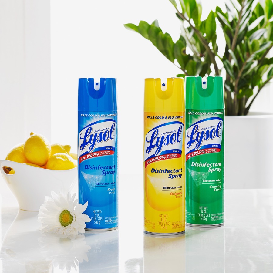 Lysol Country Scent Disinfectant Spray 2320