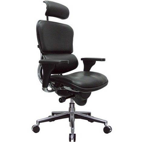 Eurotech Ergohuman Leather Executive Chair - Ebony Seat Color - Fabric, Leather Seat Material - Ebony Back Color - Fabric, Leather Back Material - 5-star Base - 1 Each 2