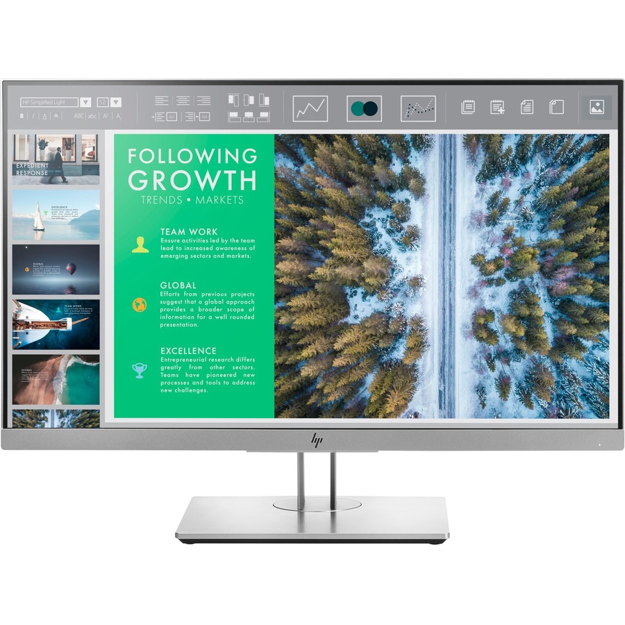 HP Business E243 Full HD LCD Monitor - 16:9