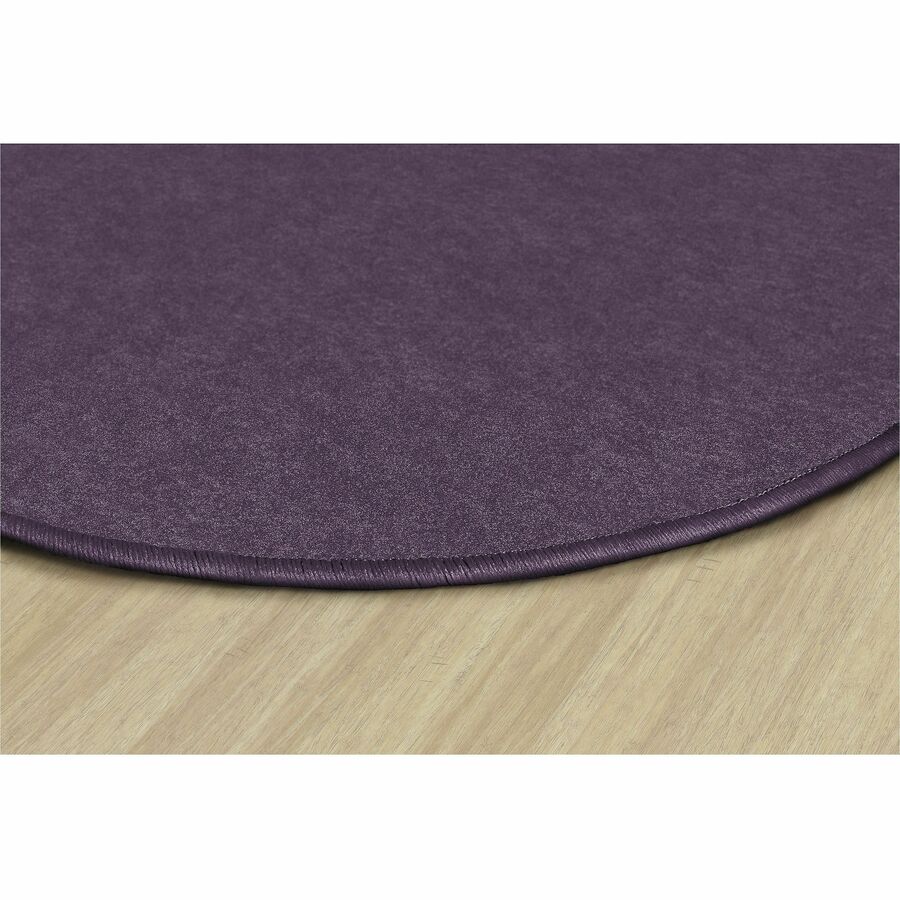 Picture of Flagship Carpets Amerisoft Solid Color Rug