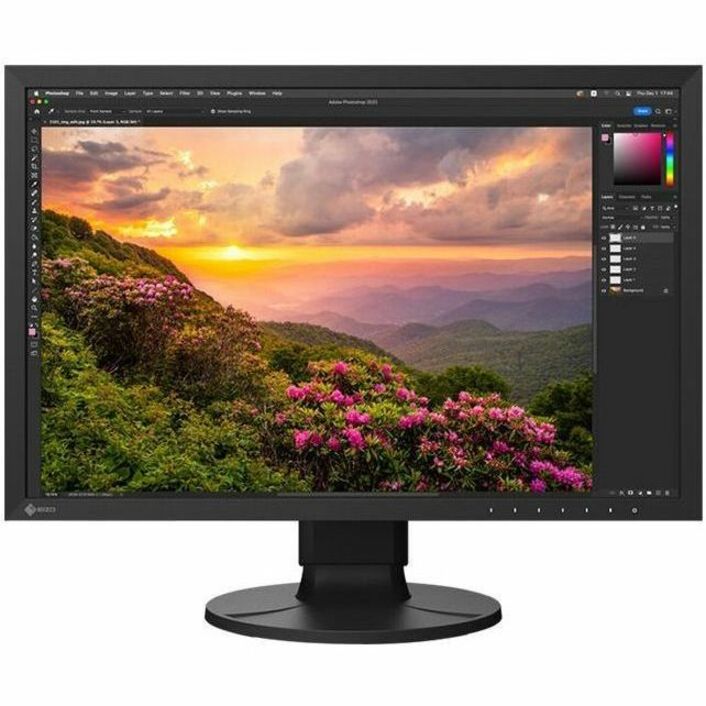 EIZO ColorEdge CS2400S-BK 24" Class WUXGA LED Monitor - 16:10 - Black