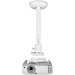 Viewsonic PJ-WMK-007 Ceiling Mount for Projector - White - 24.95 kg Load Capacity