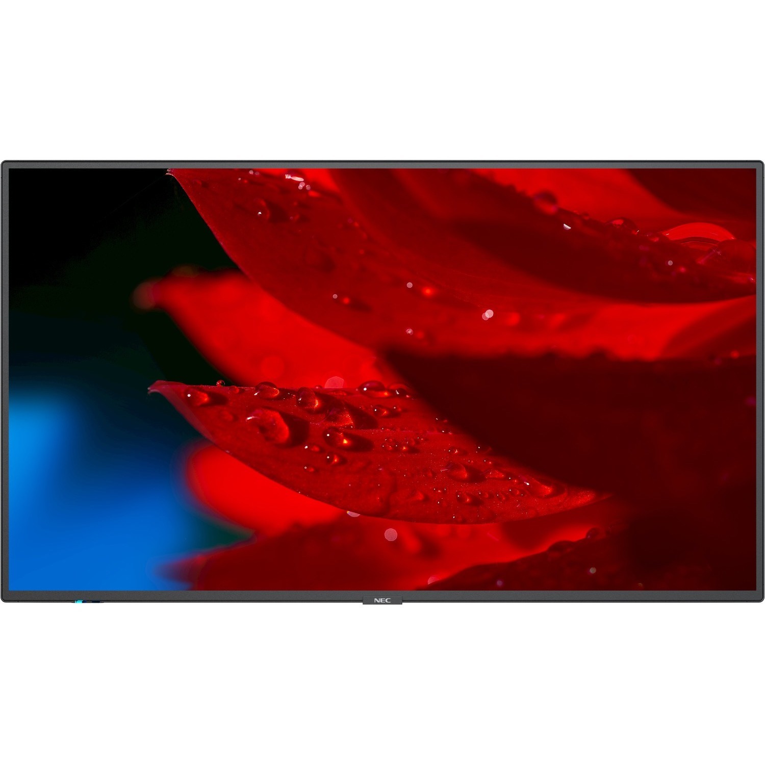 49IN LED LCD UHD 500NITS WCG X2/OUT DPX2