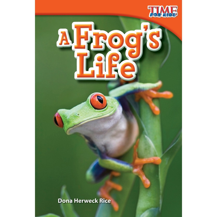 Picture of Shell Education Spanish Home Summer STEM Bundle Printed Book