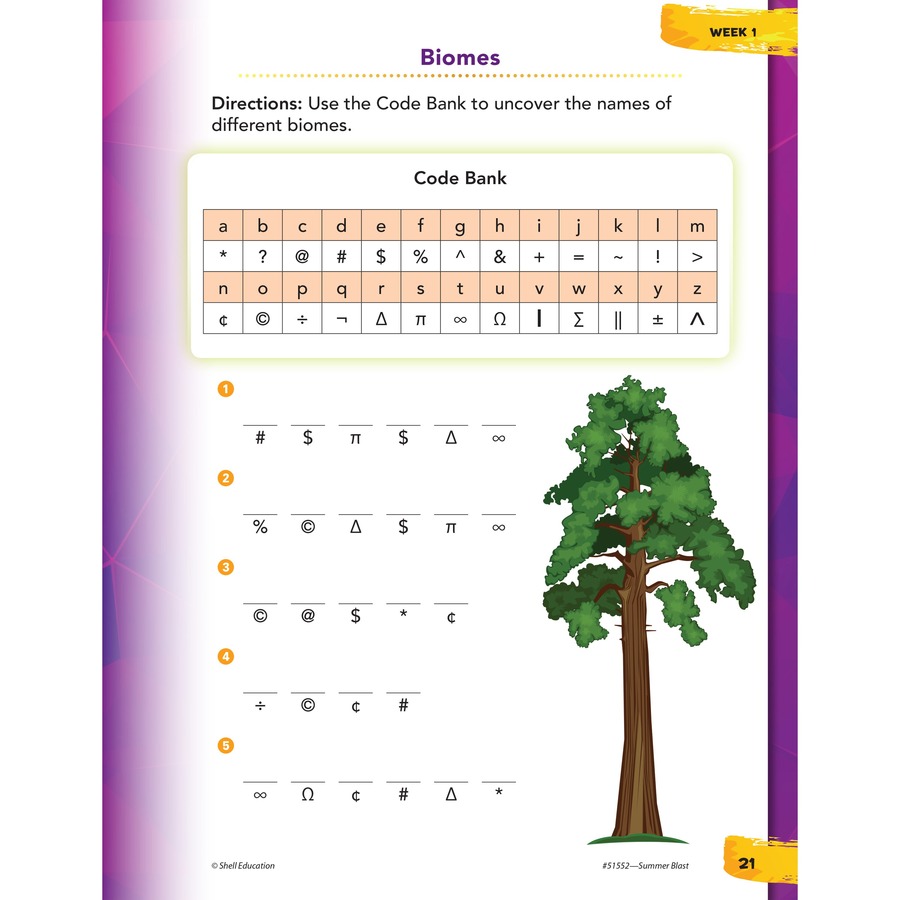 Picture of Shell Education Home Summer Grade Level Book Set Printed Book