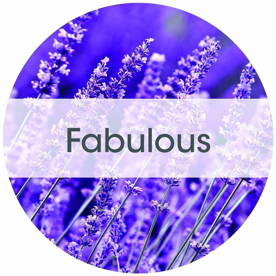 Fresh Products Tidal Wave Urinal Screens - Lasts upto 60 Days - Splash Resistant, Dual Sided Design, Odor Control - 6 / Box - Purple