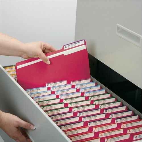 File Folder Reed Smead File Folders, 11-5/8