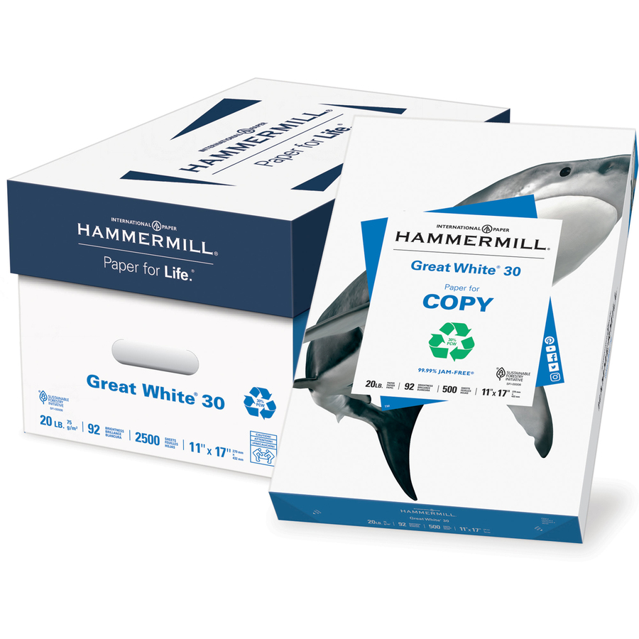 Hammermill Paper Great White 30% Recycled Paper, 20 lb