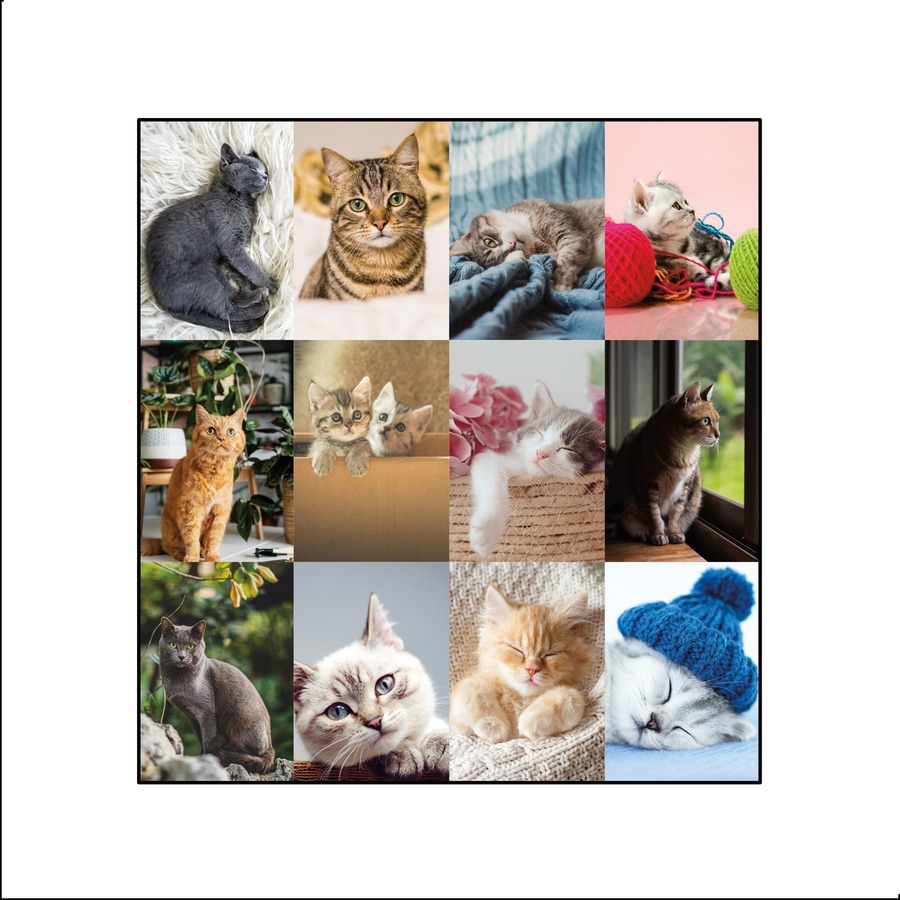Blueline Furry Cats Desk Pad Calendar | Blaisdell's Business Products
