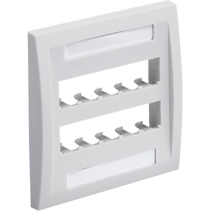 PANDUIT 10-Socket Faceplate