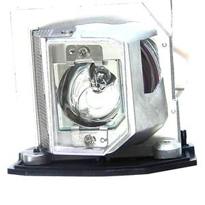Acer Replacement Lamp