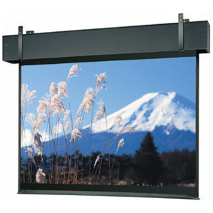 Da-Lite Professional Electrol 355" Electric Projection Screen
