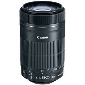 Canon - 55 mm to 250 mmf/5.6 - Telephoto Zoom Lens for Canon EF/EF-S