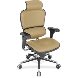 Eurotech Ergohuman Leather Executive Chair - Celadon Destiny Fabric Seat - Celadon Destiny Fabric Back - 5-star Base - 1 Each