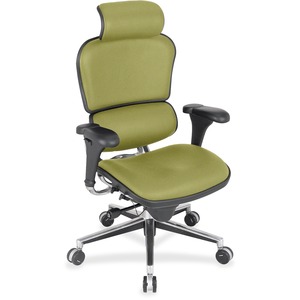 Eurotech ergohuman LE9ERG High Back Executive Chair - Spring Green Quattro Fabric Seat - Spring Green Quattro Fabric Back - 5-star Base - 1 Each