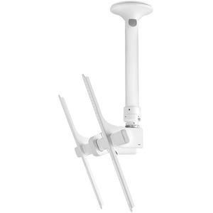 Atdec ceiling mount for large display-short pole - Loads up to 143lb - White - Universal V