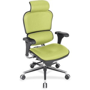 Eurotech Ergohuman Leather Executive Chair - Apple Green Vinyl, Fabric, Leather Seat - Apple Green Vinyl, Fabric, Leather Back - 5-star Base - 1 Each