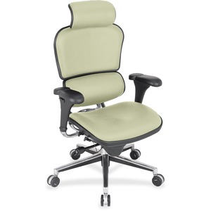 Eurotech Ergohuman Leather Executive Chair - Olive Fabric, Leather Seat - Olive Fabric, Leather Back - 5-star Base - 1 Each